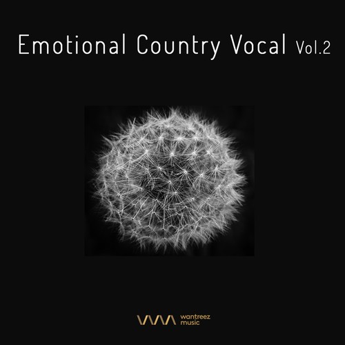 Emotional Country Vocal Vol.2