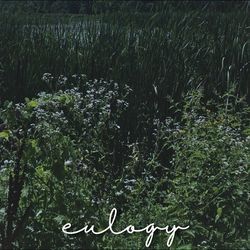 Eulogy-PwRcXQ5cUwc