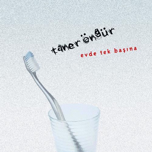 Evde Tek Başına