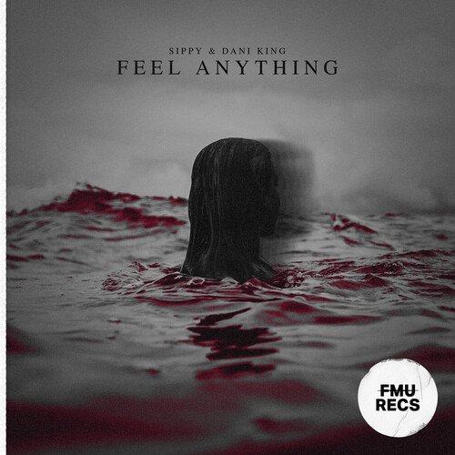 Feel Anything_poster_image