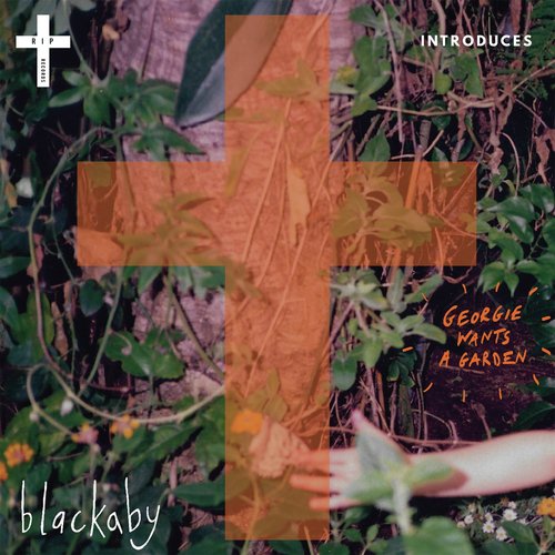 Listen To Georgie Wants A Garden Songs By Blackaby Download