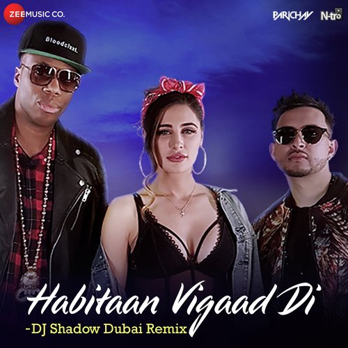Habitaan Vigaad Di (DJ Shadow Dubai Remix)