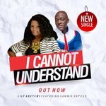 I Cannot Understand (feat. Sammie Okposo)