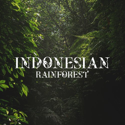 Indonesian Rainforest_poster_image