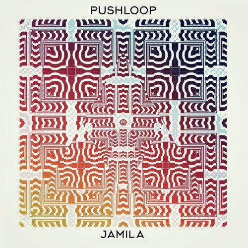 Pushloop