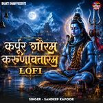 Karpur Gauram Karunavataram - Lofi
