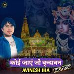 Koi Jaye Jo Vrindavann