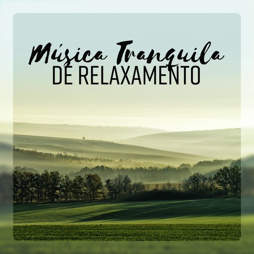 Novo Começo cover art