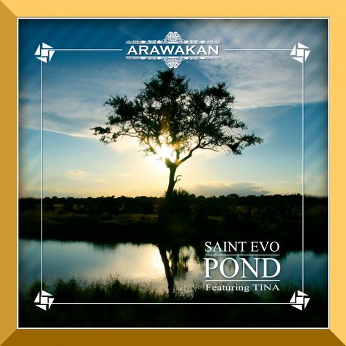 Pond_poster_image