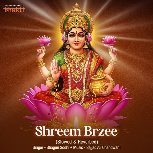 Shreem Brzee (Slowed & Reverbed)