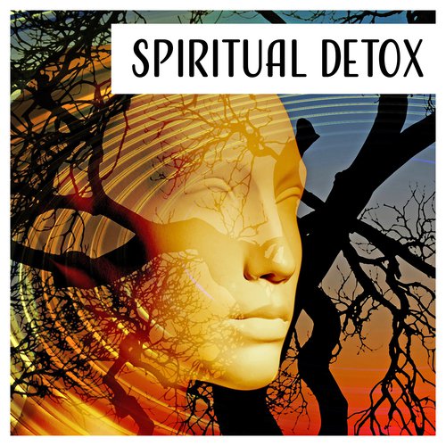 Spiritual Detox - Music to Cleanse of Negative Energy, Fresh Mind, Repair Aura Body, Chakra Balancing