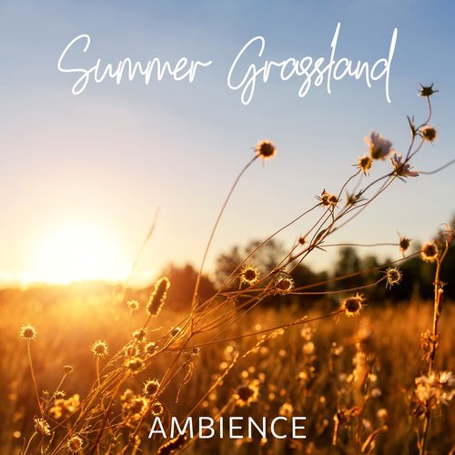 Summer Grassland Ambience: Calming Nature Sounds for Relaxation, Stress Relief, Sleep