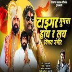 Tiger Groupcha Hay R Lay Vishay Gambhir