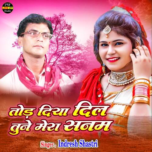 Tod Diya Dil Tune Mera Sanam (Hindi)