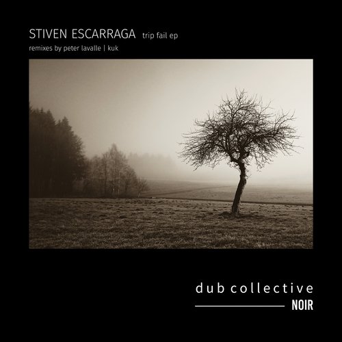 Doble Trip Fail (Peter Lavalle Remix) cover art