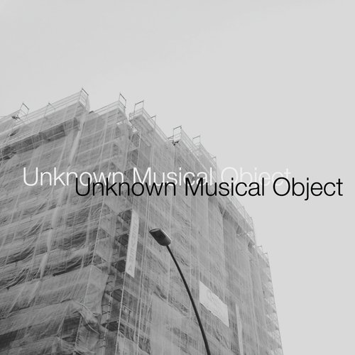 Unknown Musical Object