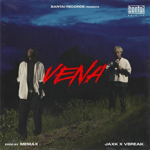 Vena