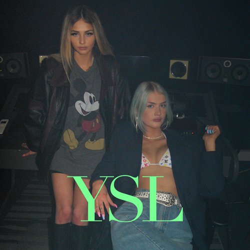 YSL_poster_image