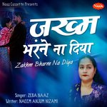 Zakhm Bharne Na Diya (Sad Ghazal)