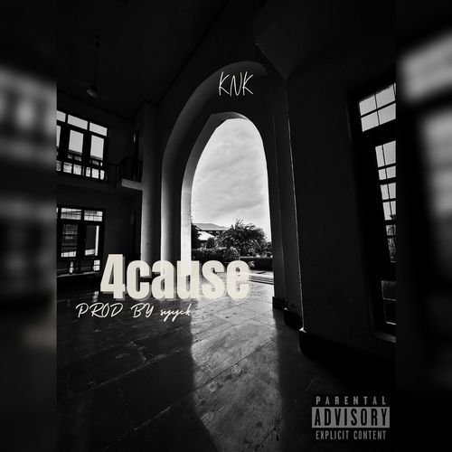 4Cause