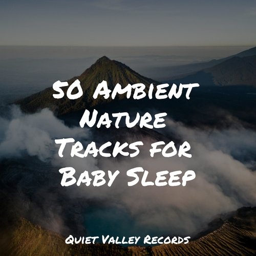 Forest Nature cover art