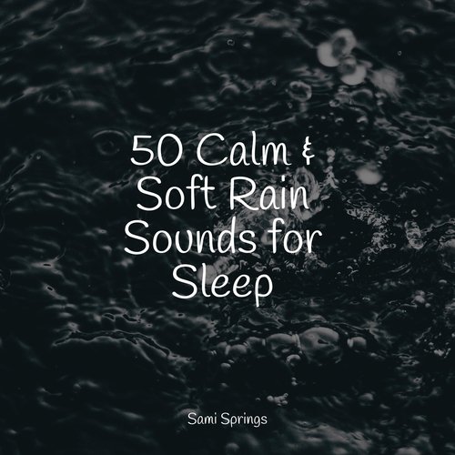 50 Soothing Ambient Rain Sounds