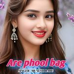 Are phool bag