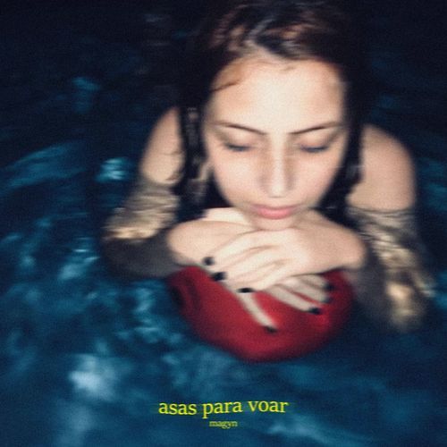 Asas para voar cover art
