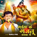 Bhaiya Ke Bhejalu Vanwa Me