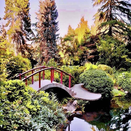 Botanical Synth cover art