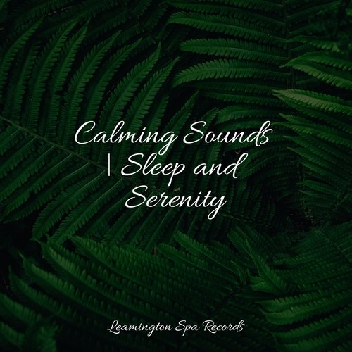Sleep Aid cover art