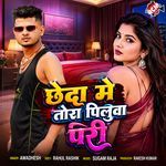 Chheda Me Tora Pilua Padi