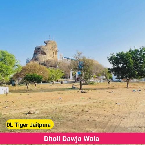 Dholi Dawja Wala cover art