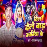 Dil Dele Baada Nachaniya Ke