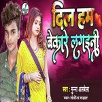 Dil Ham Bekare Lagani