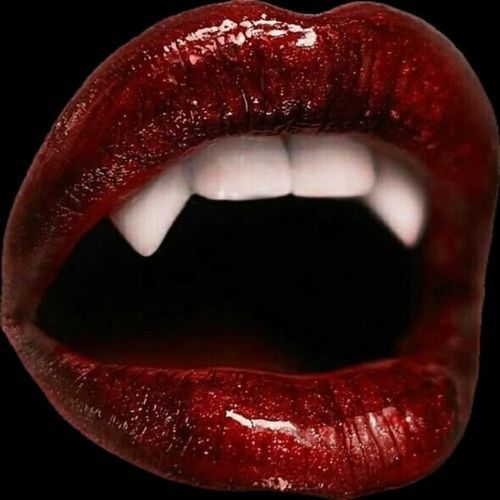 Fangs cover art