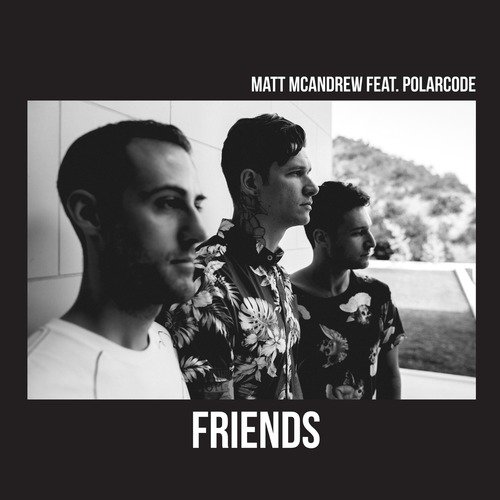 Friends (feat. Polarcode)_poster_image