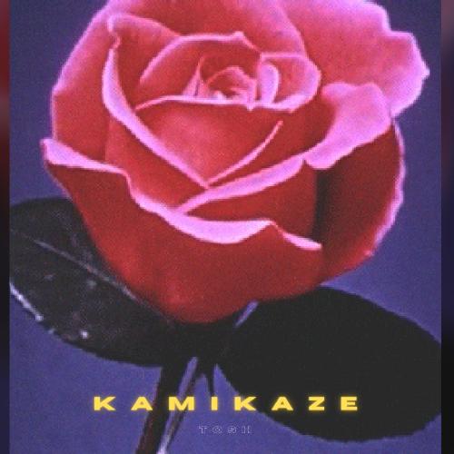 Kamikaze_poster_image