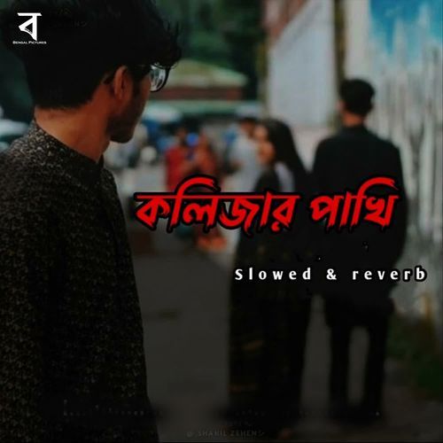 Kolijar Pakhi Slowed & Reverb