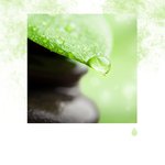 Chanson Ensoleillée du Vent pour se Détendre à Ibiza