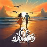 Nee Chaarathu