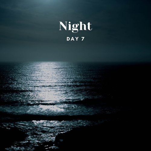 Night_poster_image