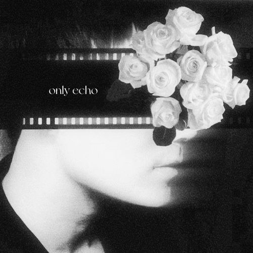 Only Echo cover art