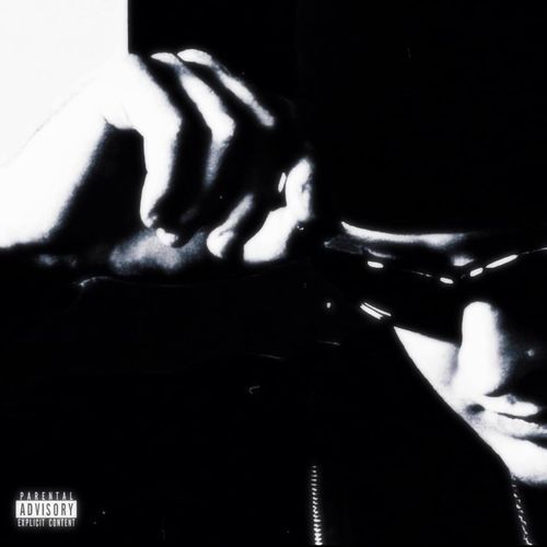 PNV cover art