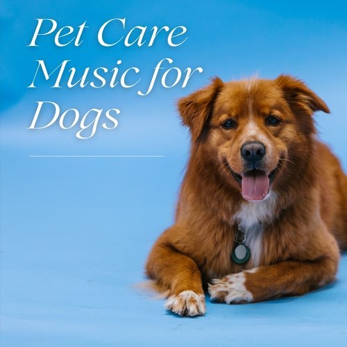 Relaxing Companion cover art