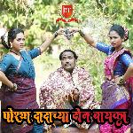 Posha Dadachya Don Bayka