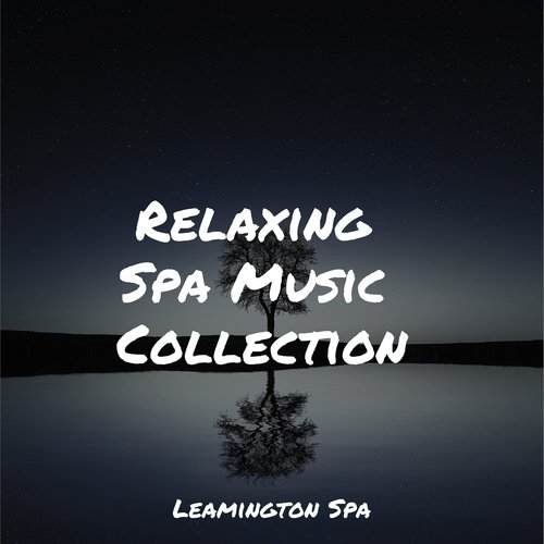 Focused, Relaxed cover art