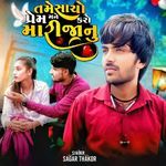 Tame Sacho Prem Mane Karo Mari Janu