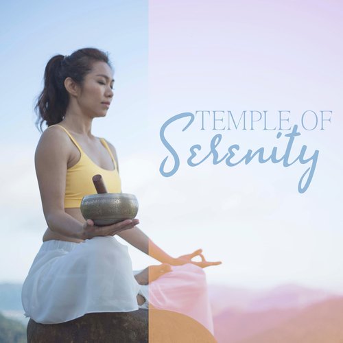 Zen Meditation Garden cover art