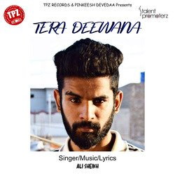 Tera Deewana-PjkdSVlSUWU